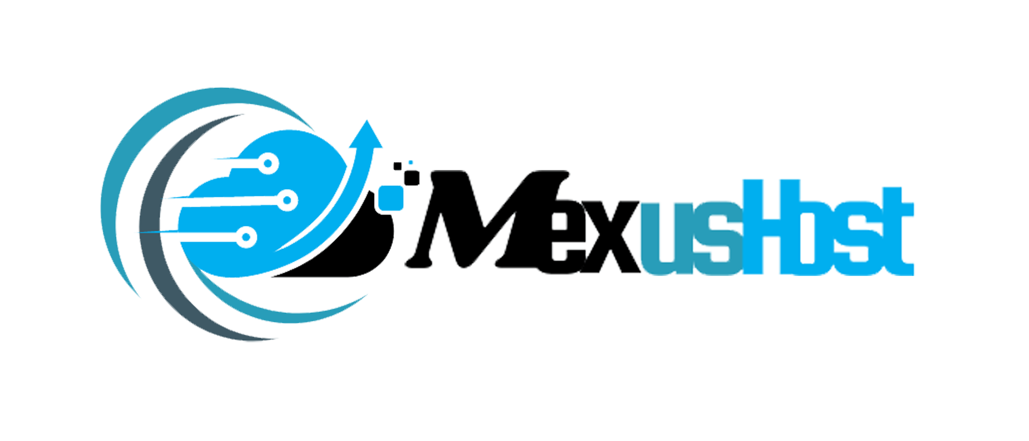 MexUs Host – Best Domain Hosting company. 